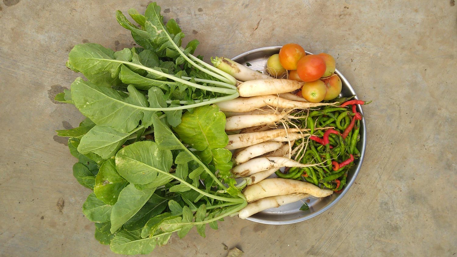 bowl of fresh veggies