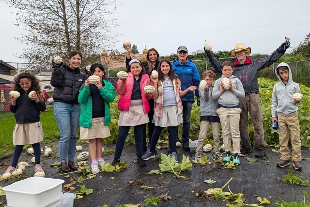 PXL_20241001_185507495-cropped